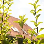 Up Hus 3* Neuruppin