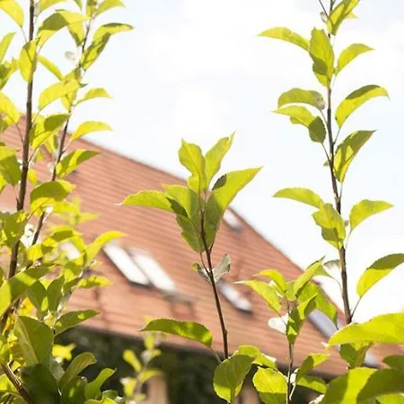 Up Hus 3* 네우루핀